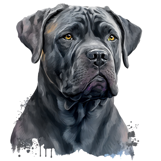 Cane Corso 8