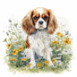 Cavalier 1