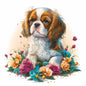 Cavalier 11