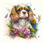 Cavalier 17