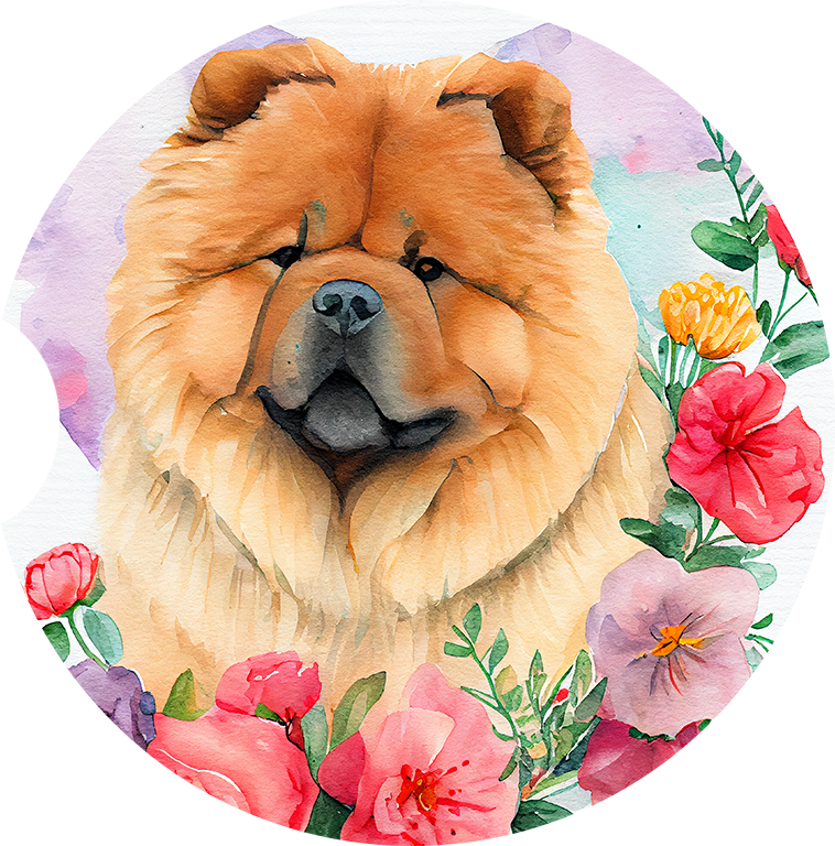 Chow Chow 11
