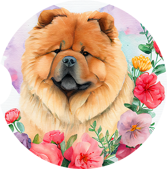 Chow Chow 11
