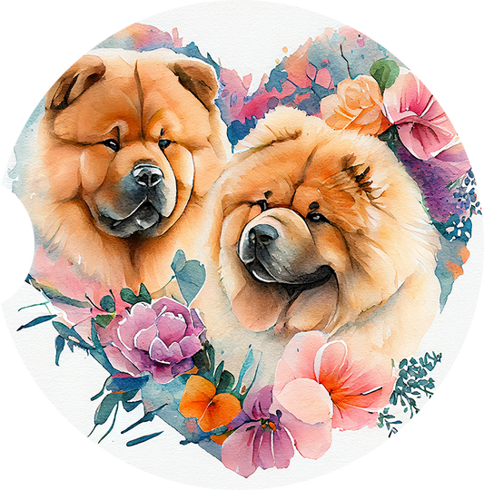 Chow Chow 14