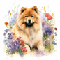 Chow Chow 3