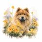 Chow Chow 4