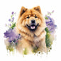 Chow Chow 6