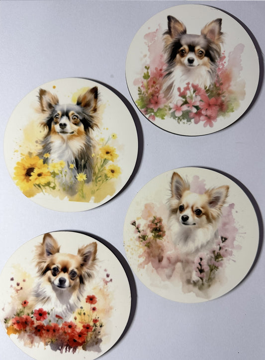 Coasters - Chihuahua