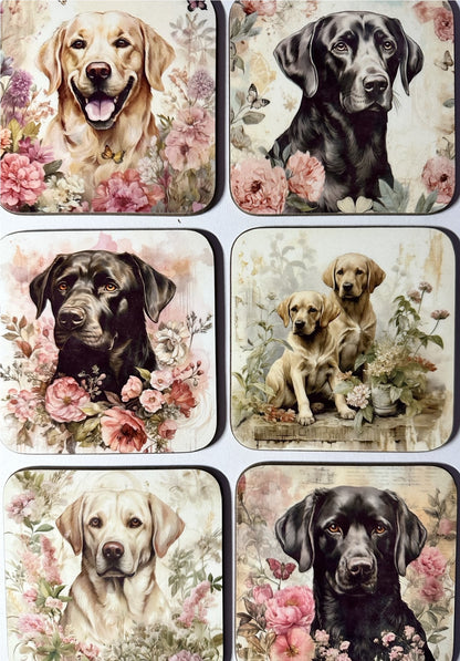 Coasters - Labrador