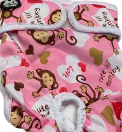 Dog Diapers - Large - 19" to 27"