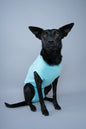 Recovery Suits - Crazy Dog Lady 