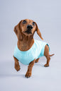 Recovery Suits - Crazy Dog Lady 