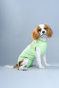 Recovery Suits - Crazy Dog Lady 
