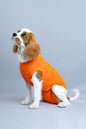 Recovery Suits - Crazy Dog Lady 