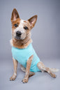 Recovery Suits - Crazy Dog Lady 