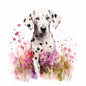 Dalmatian 1