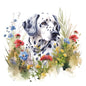 Dalmatian 10