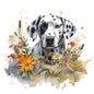 Dalmatian 2
