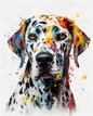 Dalmatian 21