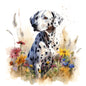 Dalmatian 3
