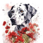 Dalmatian 5