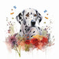 Dalmatian 8