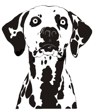 Stickers - Dalmatian Head 1