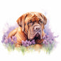 Dogue De Bordeaux 2