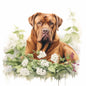Dogue De Bordeaux 3
