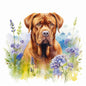 Dogue De Bordeaux 5