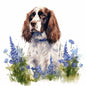 English Springer Spaniel 10