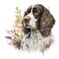 English Springer Spaniel 14 - Crazy Dog Lady 