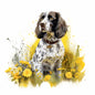 English Springer Spaniel 1