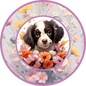 English Springer Spaniel 26