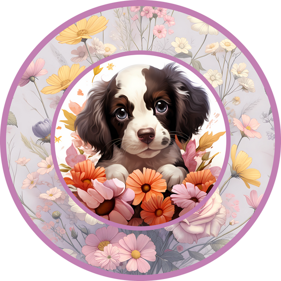 English Springer Spaniel 26