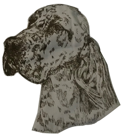 English Setter 13