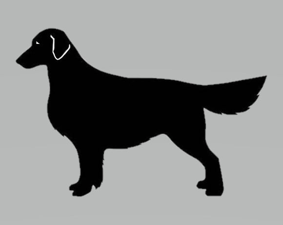 Stickers - Flat Coat Retriever 2