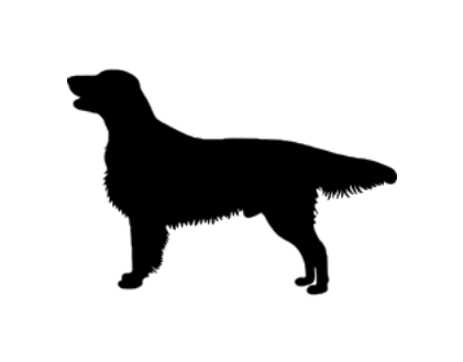 Stickers - Flat Coat Retriever 3