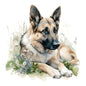 German Shepherd Dog 10