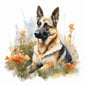 German Shepherd Dog 11