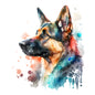 German Shepherd Dog 14
