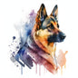 German Shepherd Dog 15