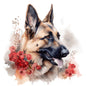 German Shepherd Dog 2