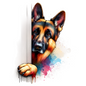 German Shepherd Dog 20