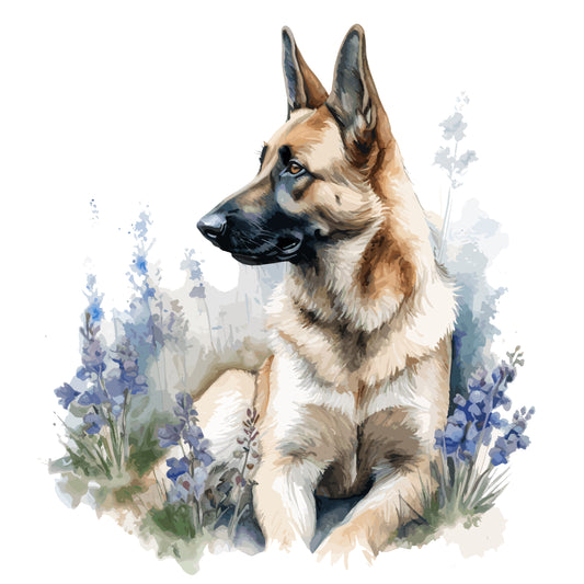 German Shepherd Dog 3