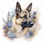 German Shepherd Dog 4