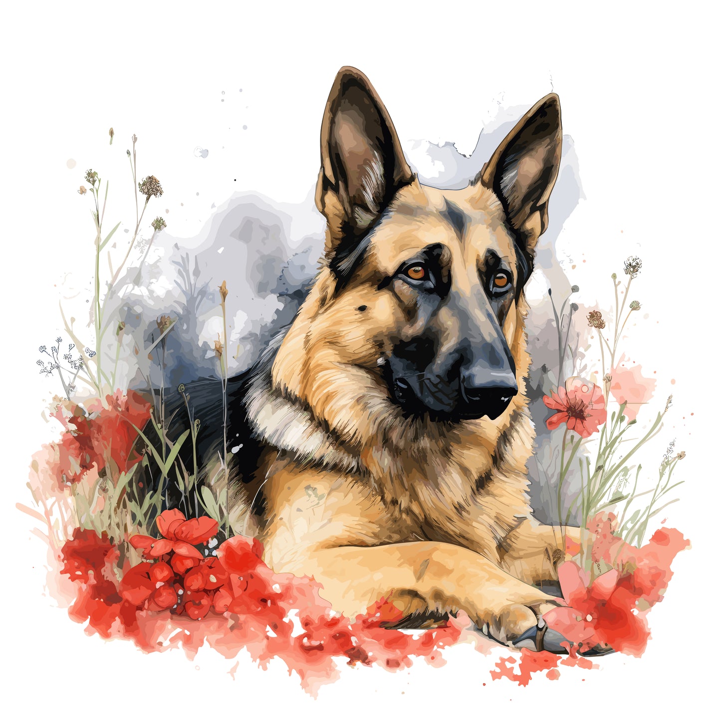 German Shepherd Dog 5