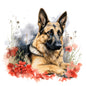 German Shepherd Dog 5