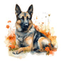 German Shepherd Dog 6