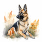 German Shepherd Dog 8