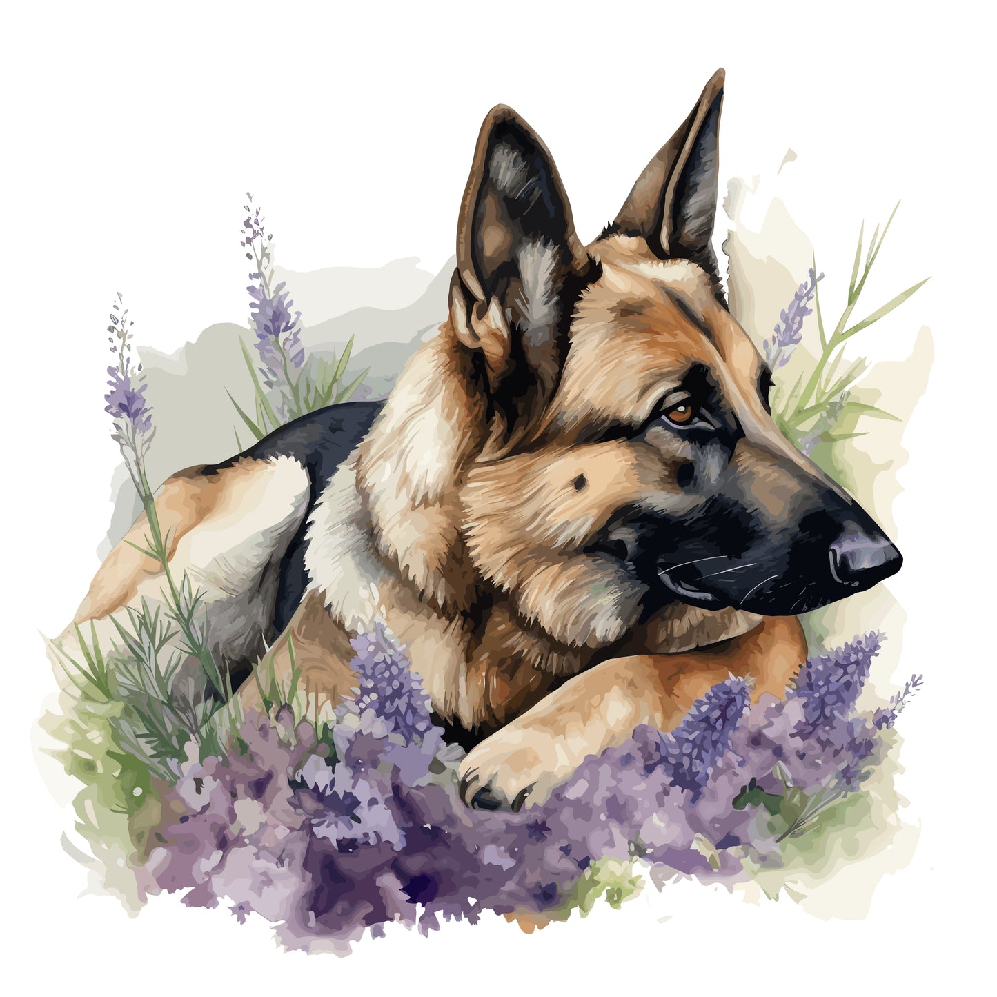 German Shepherd Dog 9